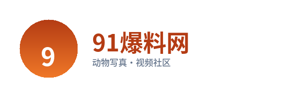 91爆料网